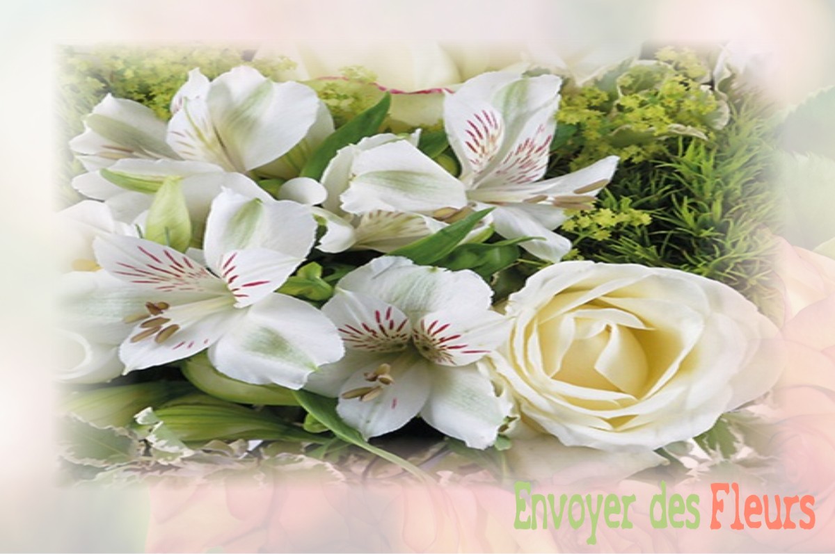 envoyer des fleurs à à BEYREDE-JUMET